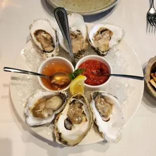 OMG oysters