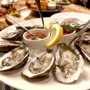 Oysters