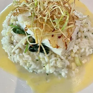 Icelandic Cod