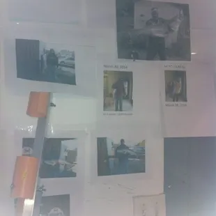 Wall of big fish lol