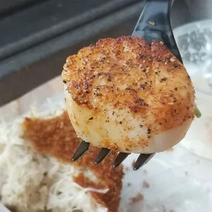Scallop