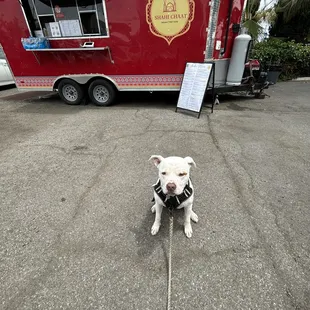 Truman loves snackies
