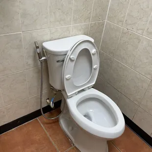 Flex Steel Spray for a squeaky clean bottom