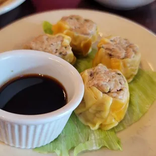 Shumai Style Rolls