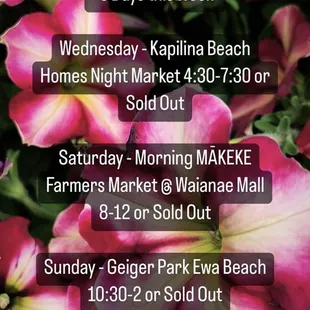 Update from Instagram