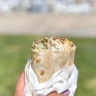  hand holding a burrito