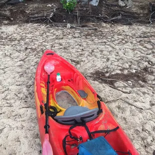 Kayak your! Parker and Brian are fantastic! Funny with the cheeseball jokes but very knowledgeable! Not hard are on the eyes either