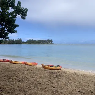 Photo taken from the forest to the sea. The guides brought the kayaks up to the forest and then pushed it down into the sea.