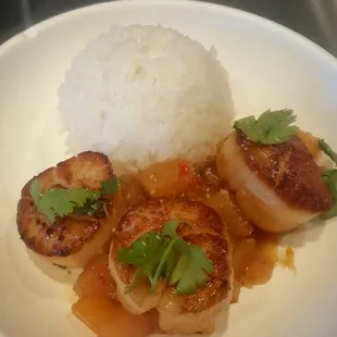 Scallops