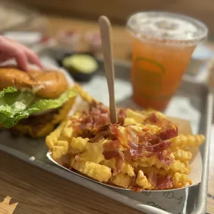 Shake Shack Costa Mesa