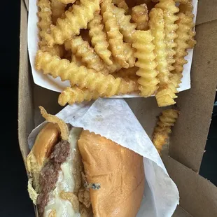 Black Truffle Burger and order of Fries