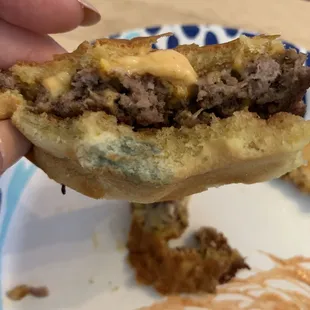 MOLD ON BUN