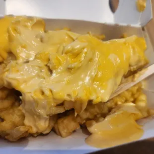 Melted Fries