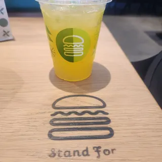 Tropical Kiwi Lemonade