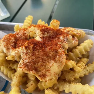 Spicy Cheese Ranch Fries
