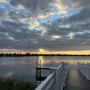 Another beautiful view. There is a little waterfall, plants, sculptures and ducks-a cute little couple!