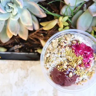 a smoothie in a plastic cup surrounded by succulents