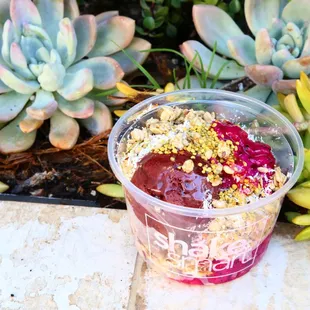 a smoothie in a plastic cup surrounded by succulents