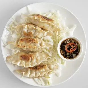 Mandu dumplings
