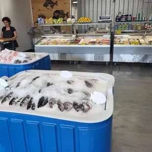 a display of fresh fish
