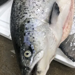 a fish on a cutting board