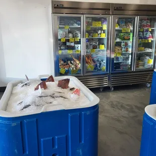 a variety of frozen fish