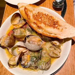 Manilla Clams