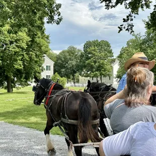 The horse drawn carriage ride was fun &amp; informative.
