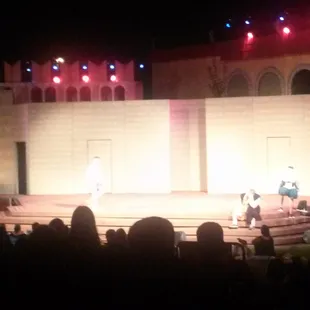 Hamlet from the Complete works of William Shakespeare. Playing weekly until 7/25 with Romeo &amp; Juliet on the weekends, clsd Mon.