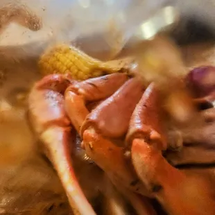 Shakin Crab