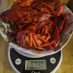 Not 1lb of crawfish! Not even close!