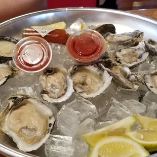 Oysters on the Half Shell