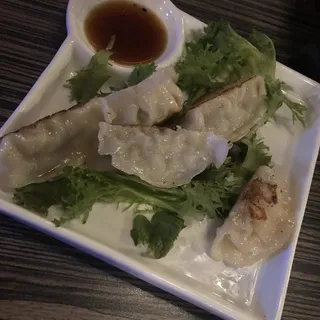 Gyoza Dumplings - OTG