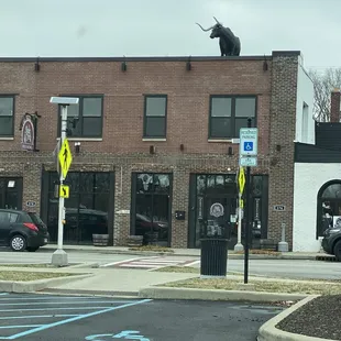 The building from the outside! Find the steer!