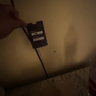 Creepy crawler...