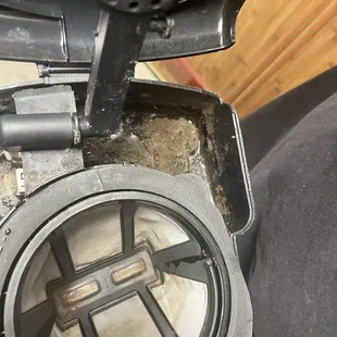 Thick layer of mold in coffee pot.