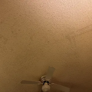 MOLD