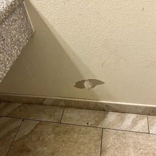 Someone&apos;s dog maybe? It did reek of dog pee in the room