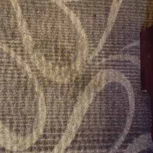 Filthy spot everywhere