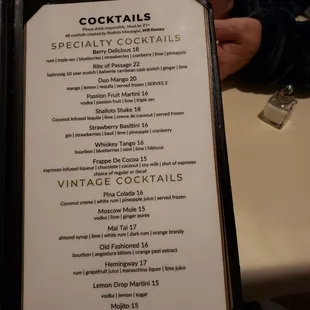 The cocktails i saw being served had great presentation.