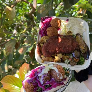 shaloha plate and falafel sandwich