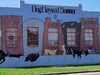 Dog Days Of Sommer