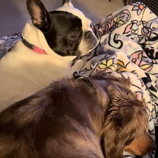 Dottie and Leia Owens