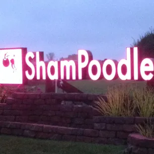 ShamPoodles, Inc. after hours...our work continues with all our boarding doggies!