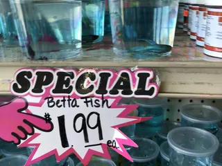 99 Cents Store