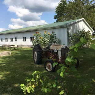 Country vineyard