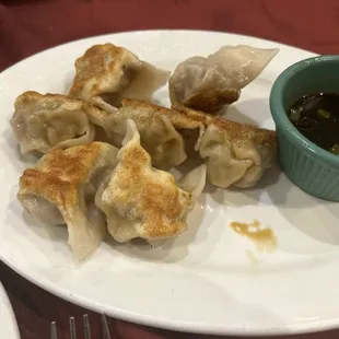 Pork Pan fried Dumplings