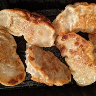 Pan fried dumplings