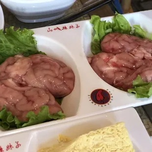 Pig Brain