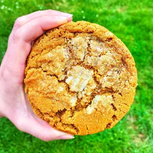 Ginger cookie